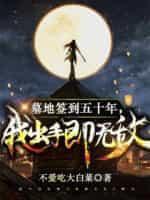 我出手即无敌书旗