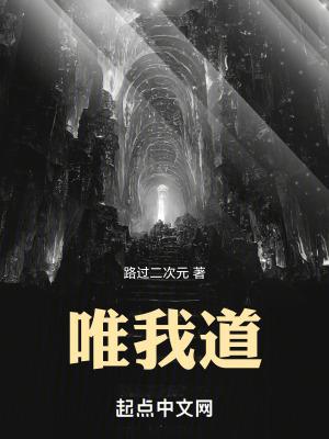 最初的寻道者