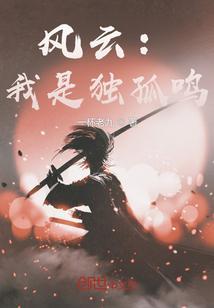 风云独孤一方