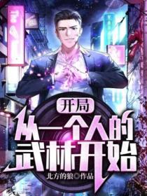 从一个人的武林崛起txt