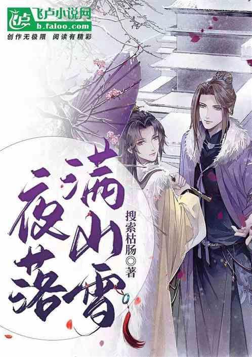 3.落雪满南山 作者明开夜合