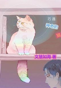 神奇的猫咪故事视频