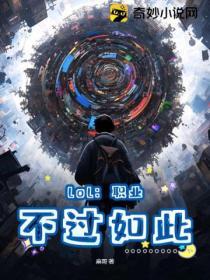 职业英雄联盟什么意思
