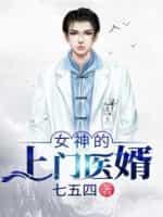女神的上门女婿