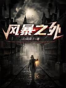 风暴之外这首歌暗示什么