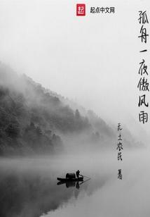 孤舟夜泊的意思