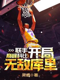 nba从科比退役开始的无限