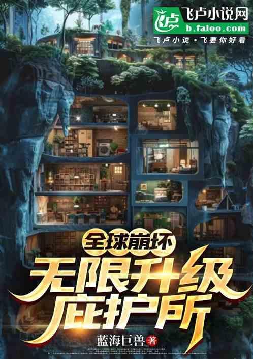全球崩坏无防盗