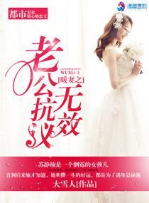 暖婚甜妻老公温柔点免费阅读