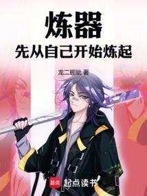 炼器排行榜完本书