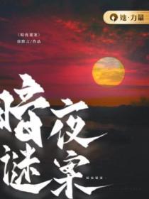 暗夜谜案免费播放完整版