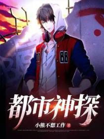 都市之神探无敌全文阅读
