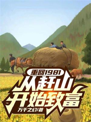 回到81年