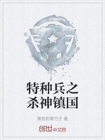 特种兵之我是杀神