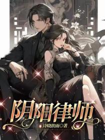 阴阳律师事务所np讲的什么