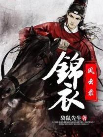 锦衣风流笔趣阁