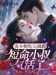 沈小姐的宠夫计划