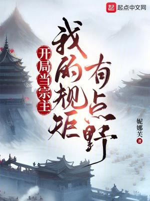 我的规矩有点野