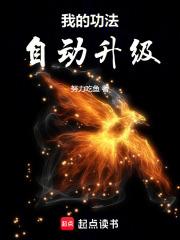 我的功法自动修炼