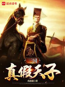 真三国假演义