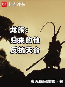 反抗天命无防盗