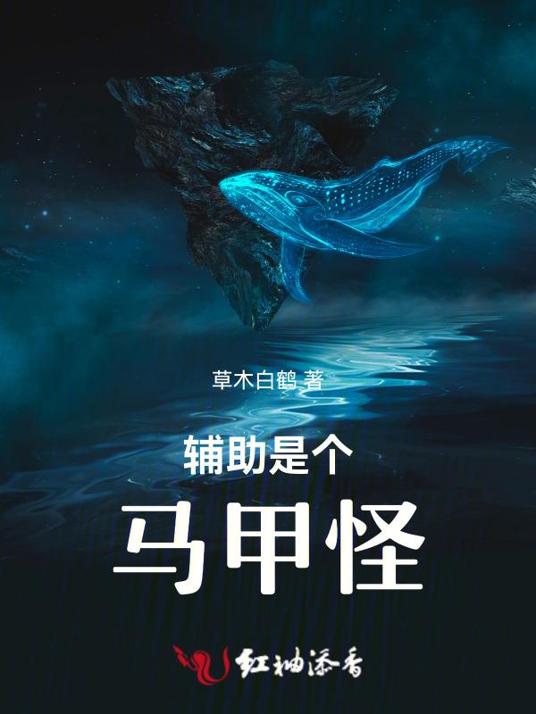 辅助是啥