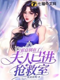 夫人又闯祸