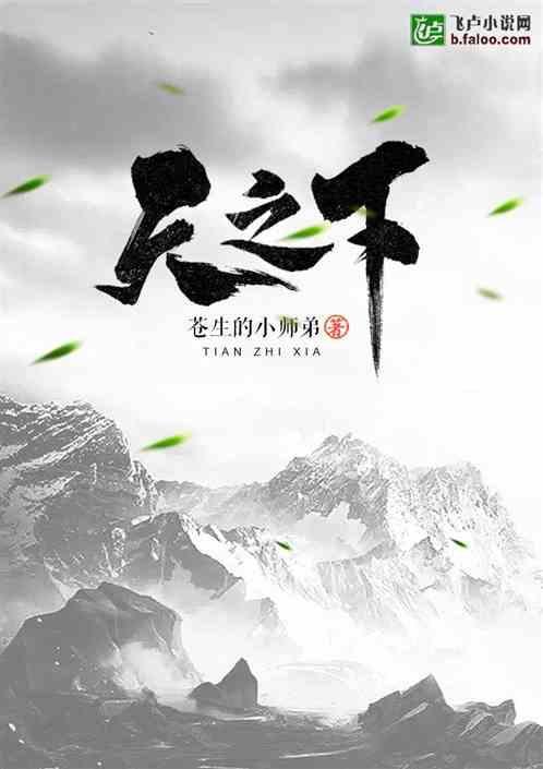 天之下李景风