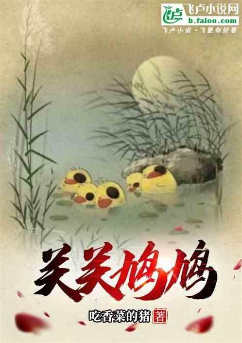 关关雎鸠在河之洲全文翻译