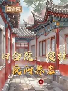 四合院大结局剧情
