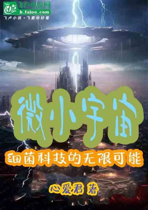 微宇宙定义