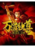 万道独尊阳辰