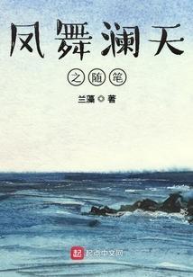 凤舞天下小
