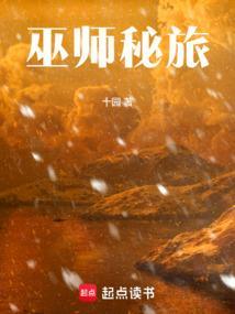 巫师三密谋