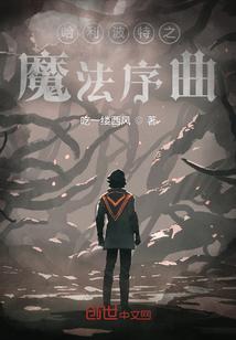 哈利波特变奏曲