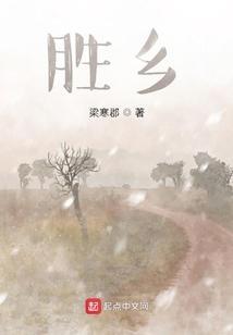 胜红清热片功效和作用