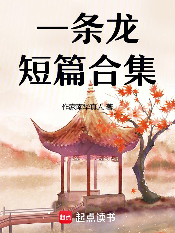 关于一条龙的
