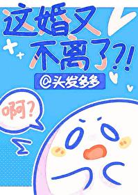 这婚又不离了TXT阅读