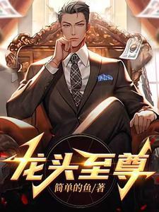 龙头至尊第二版