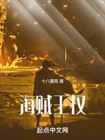 海贼王权力结构