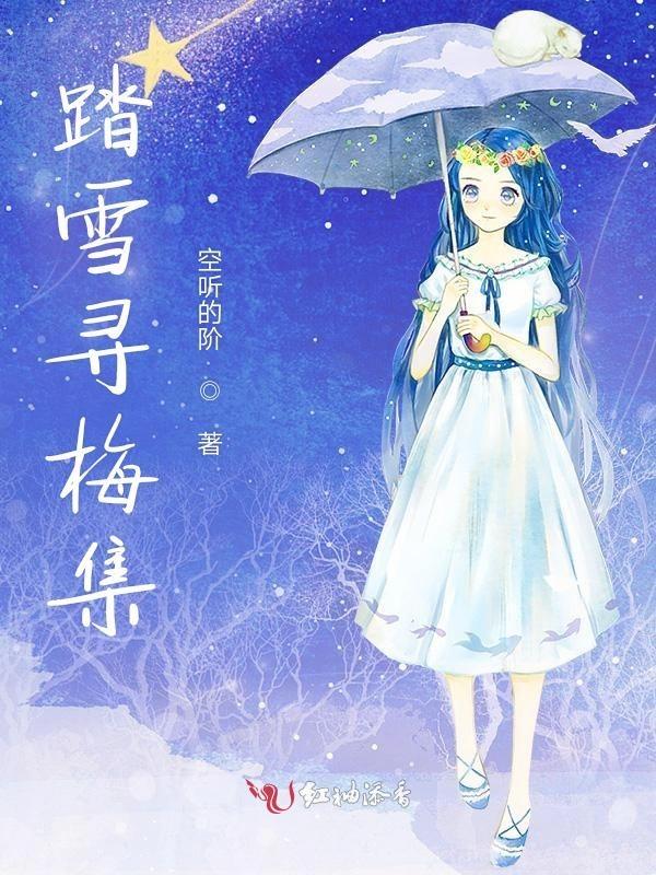 十二月踏雪寻诗
