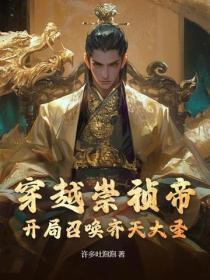 穿越崇祯系统