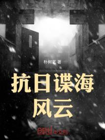谍海风云剧情完整介绍