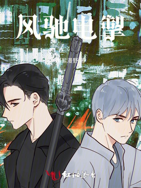 风驰电掣是什么意思