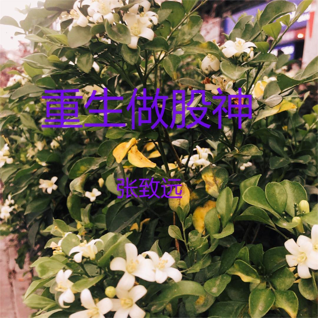 重生 金融巨头