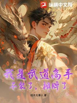 给美女当保镖的电视剧