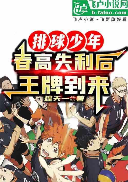 排球少年春高赛况