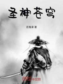 苍穹圣主阅读