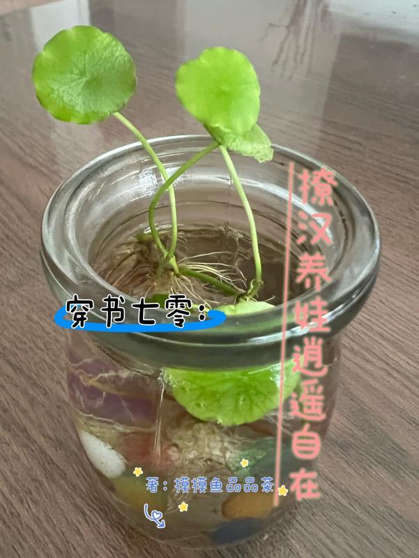 穿书七零撩汉养娃逍遥自在列表 作者摸摸鱼品品茶
