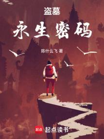 盗墓之永生密码完结了吗